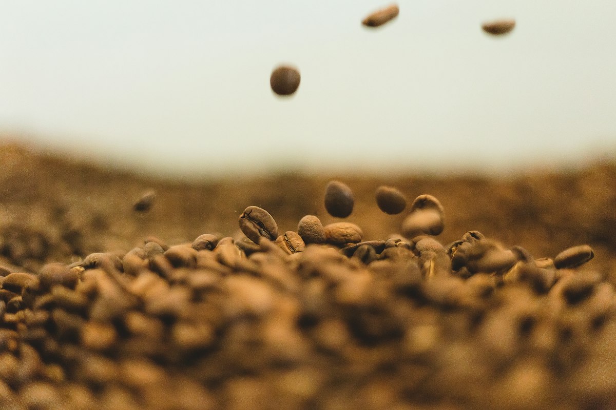 Colombian Geisha coffee beans