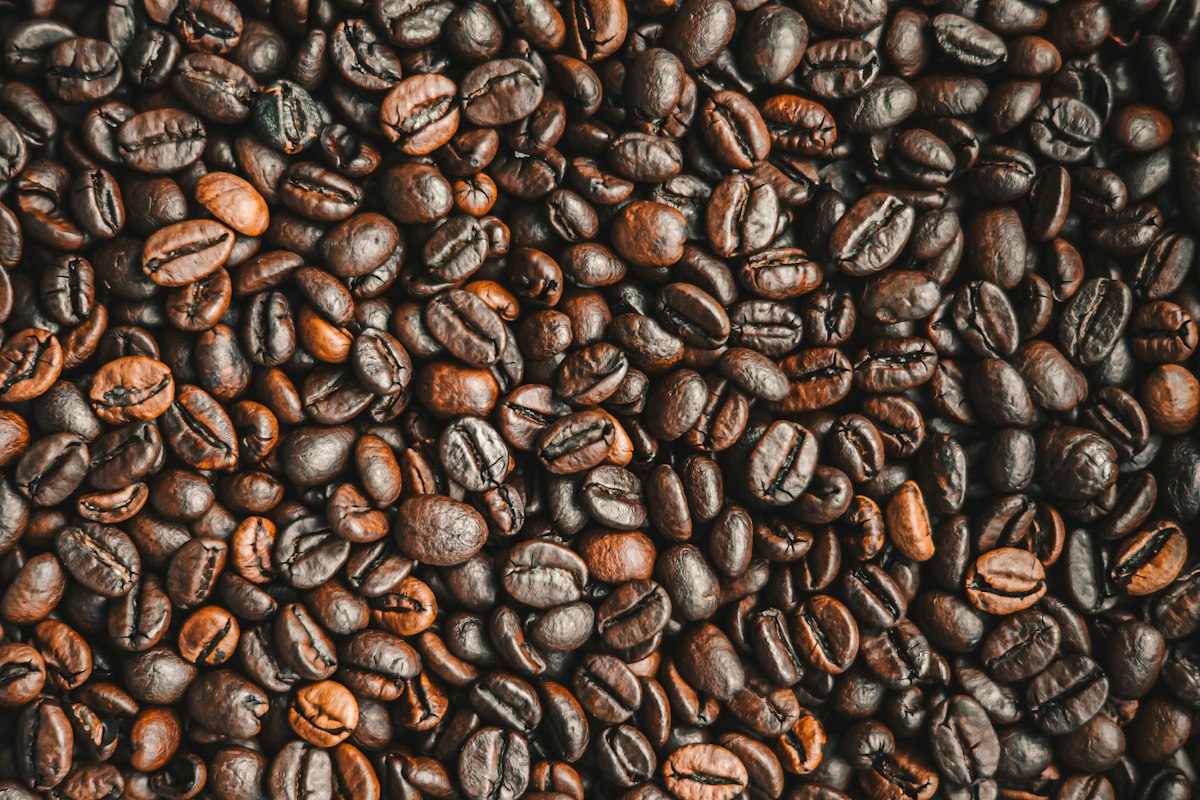 Kenyan AA Grade coffee beans