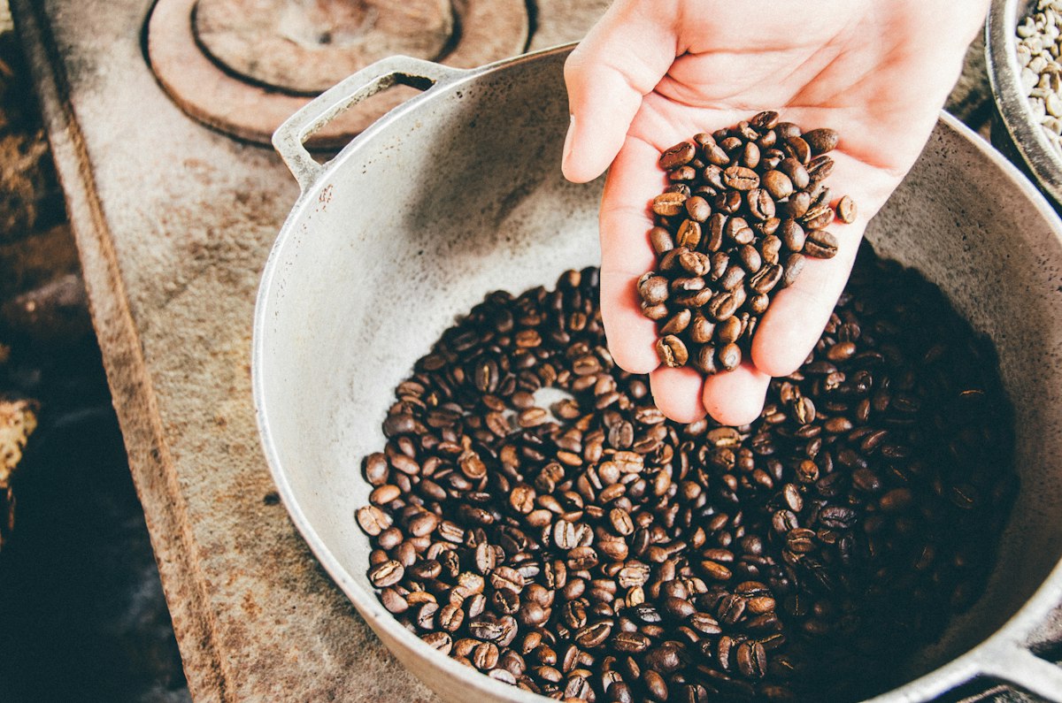Complete coffee brewing guide